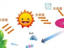 甲醛治理用什么辦法最正確？這三點常見的除甲醛辦法其實是誤區(qū)