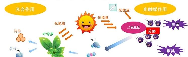 甲醛治理用什么辦法最正確？這三點(diǎn)常見的除甲醛辦法其實(shí)是誤區(qū)