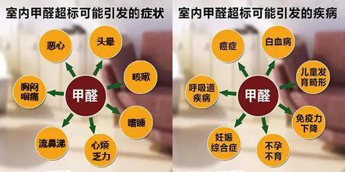 畢業季&租房季 清楚這幾點就能避開甲醛超標公寓