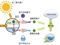 什么甲醛治理辦法效果好持續時間長？