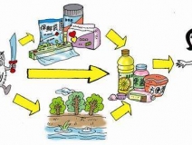 食品中有塑化劑嗎？這些食品中含有大量塑化劑，食用時一定要注意！