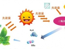 光觸媒產(chǎn)品的評價(jià)