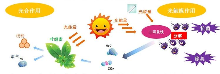 光觸媒去除房間甲醛爭議很大？